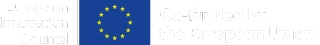 EU Flag